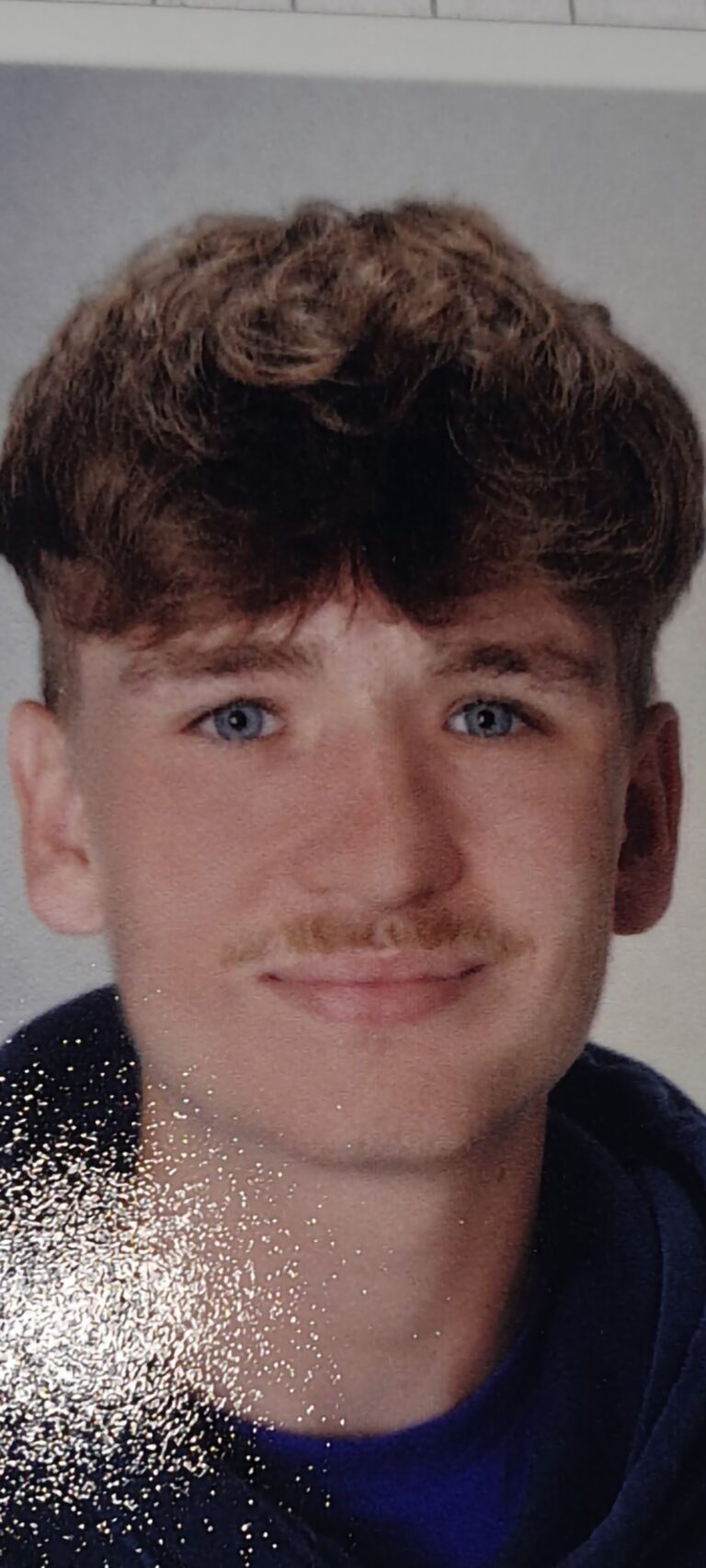Profilbild von David