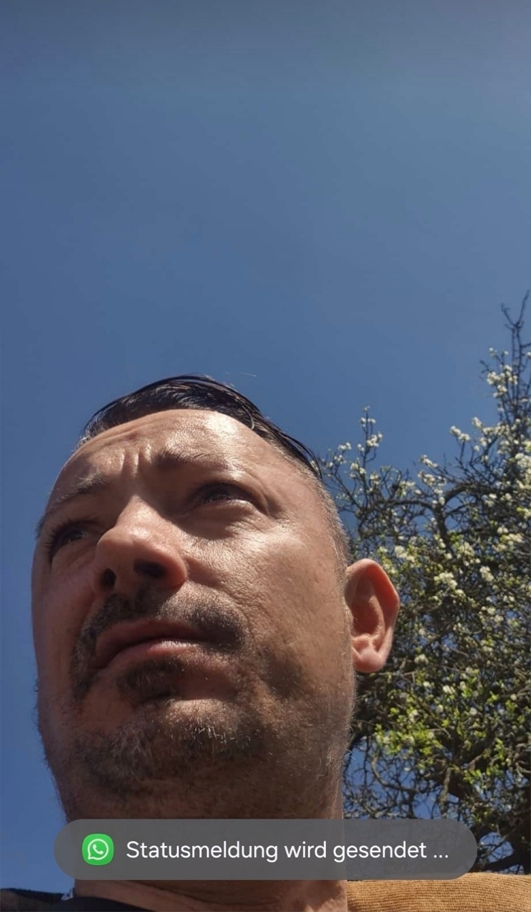 Profilbild von Stefan