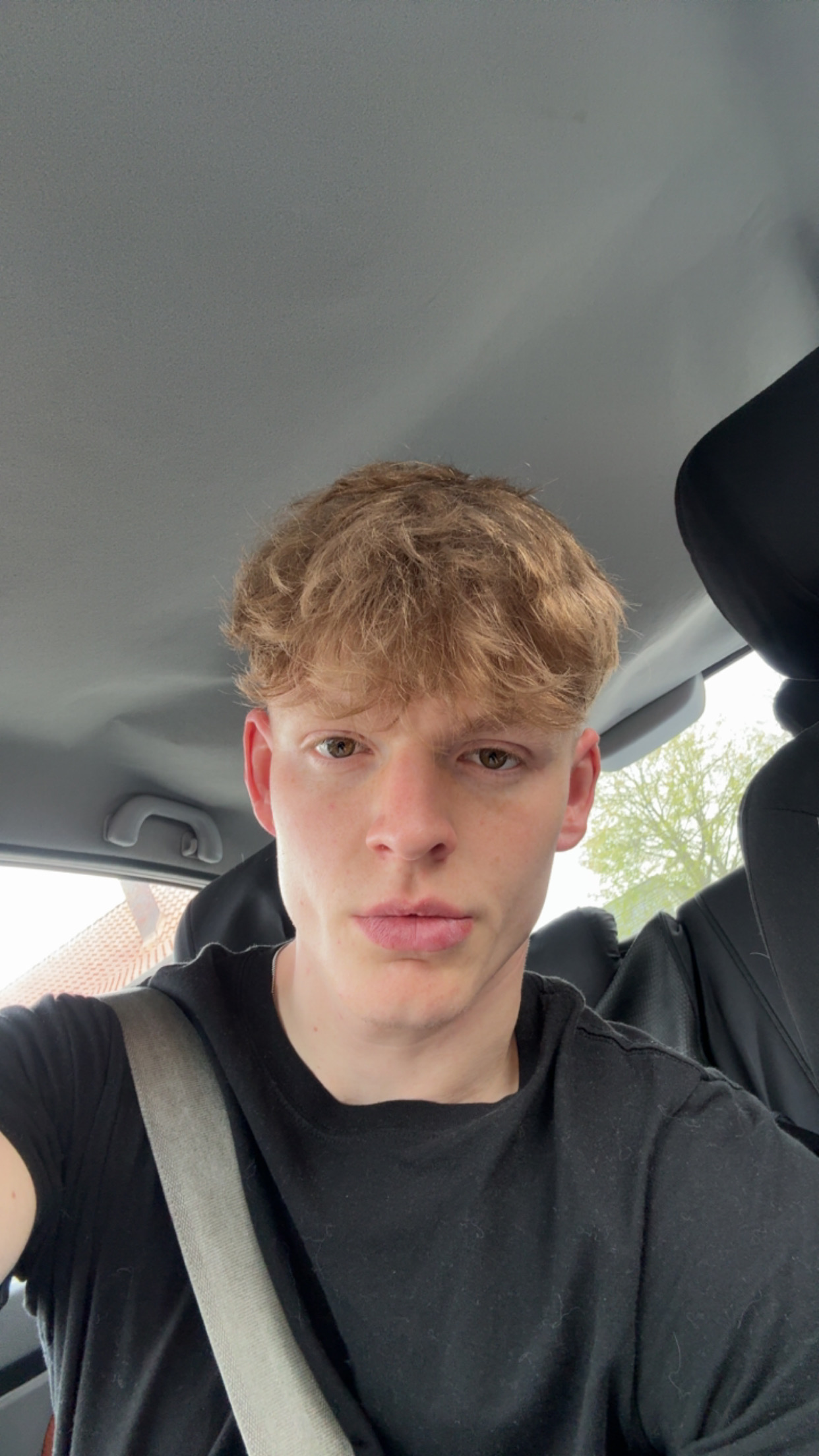 Profilbild von Luca