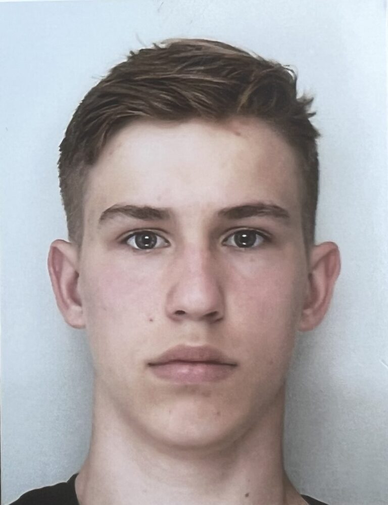 Profilbild von Arsenii