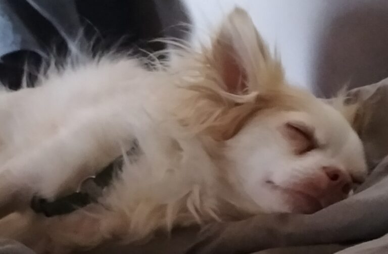 Profilbild von Tanja