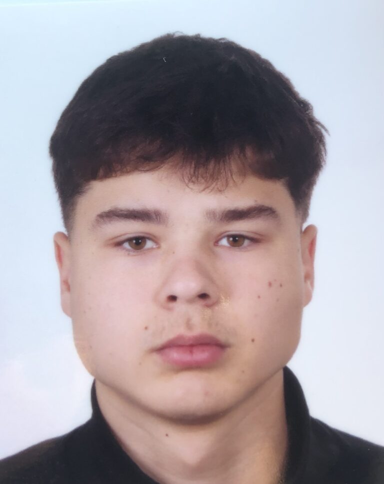 Profilbild von Artjom