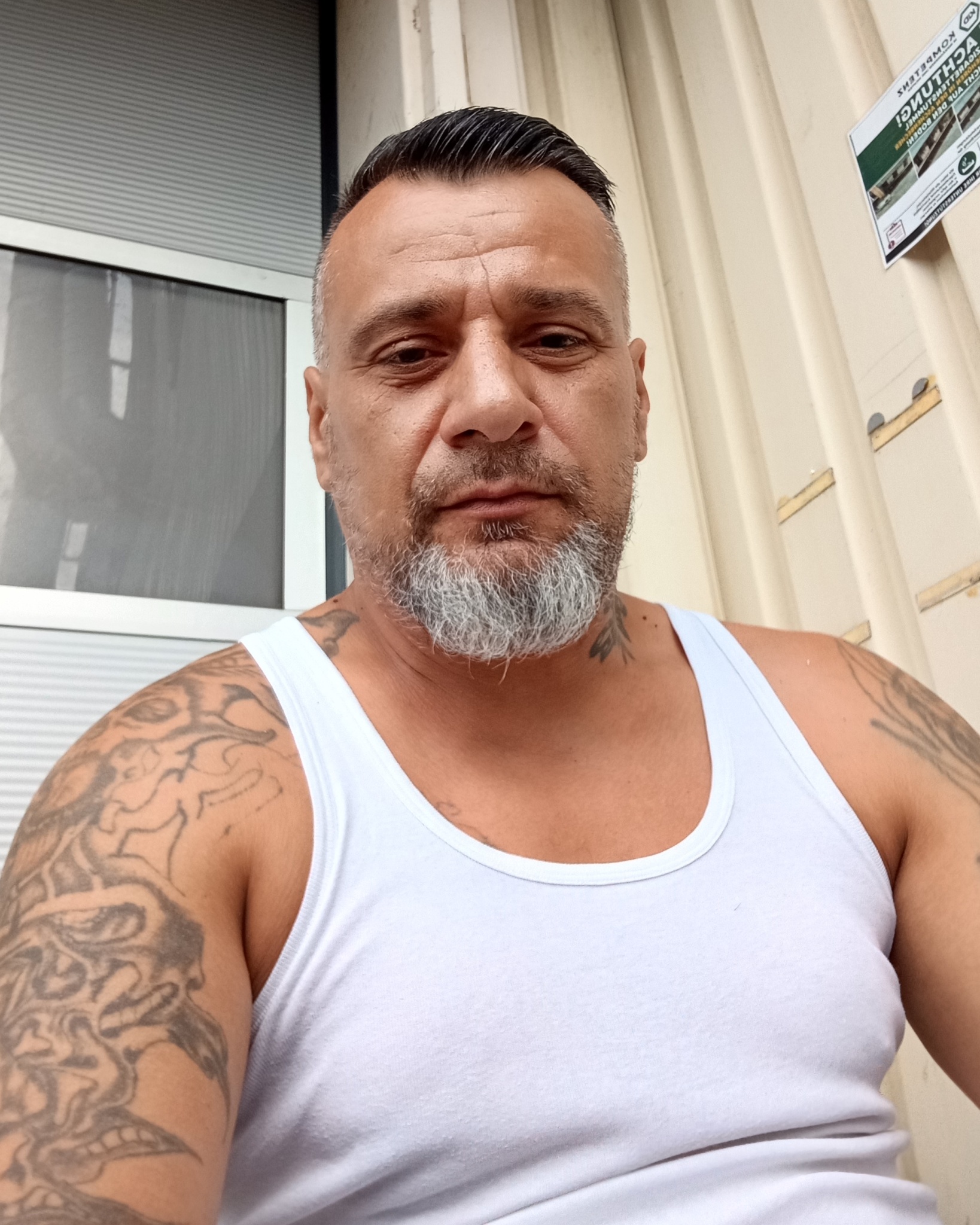 Profilbild von László