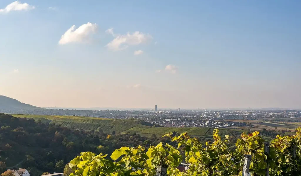 Stadtansicht von Fellbach – Personal buchen und Jobs finden bei CALUMA