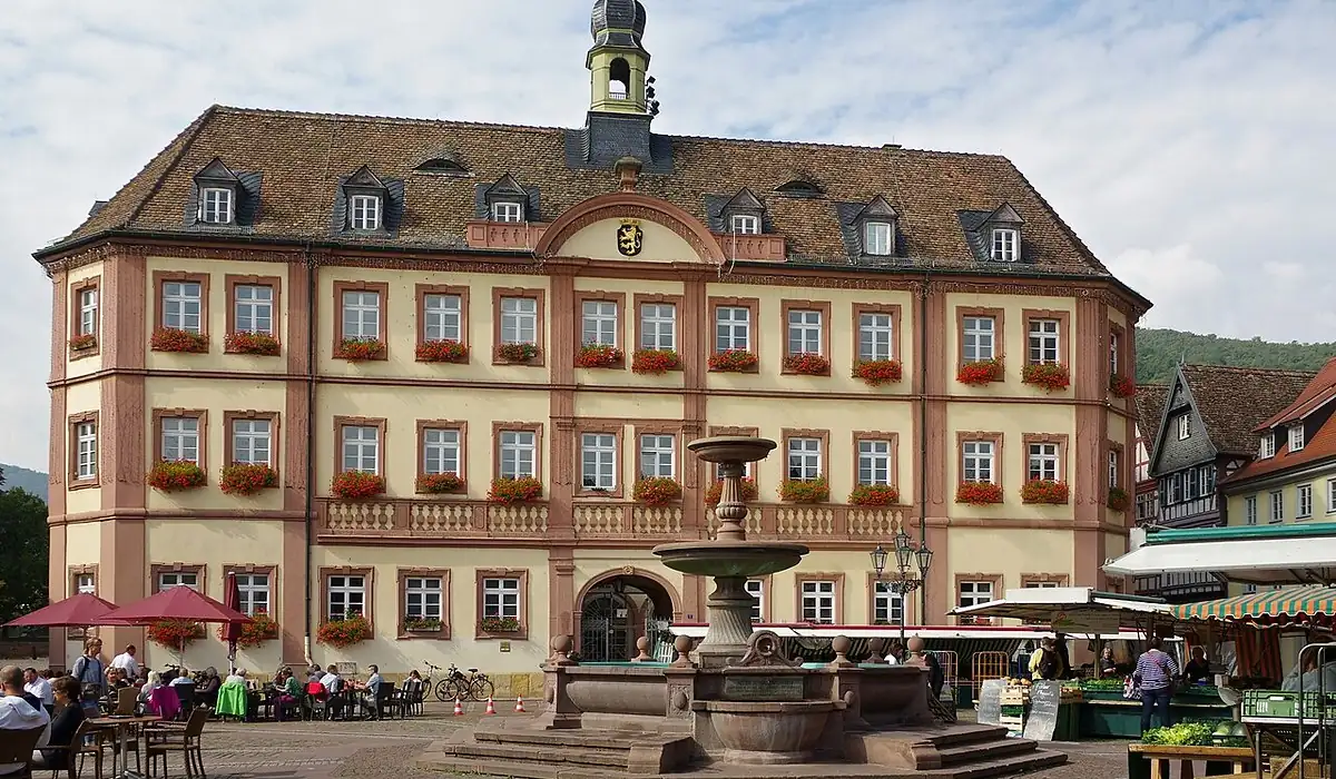Stadtansicht von Neustadt an der Weinstraße – Einsatzort für Köche in Restaurants, Hotels und Großküchen | CALUMA