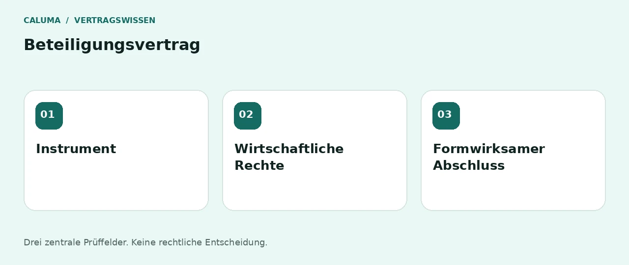 Beteiligungsvertrag: Instrument, Wirtschaftliche Rechte, Formwirksamer Abschluss