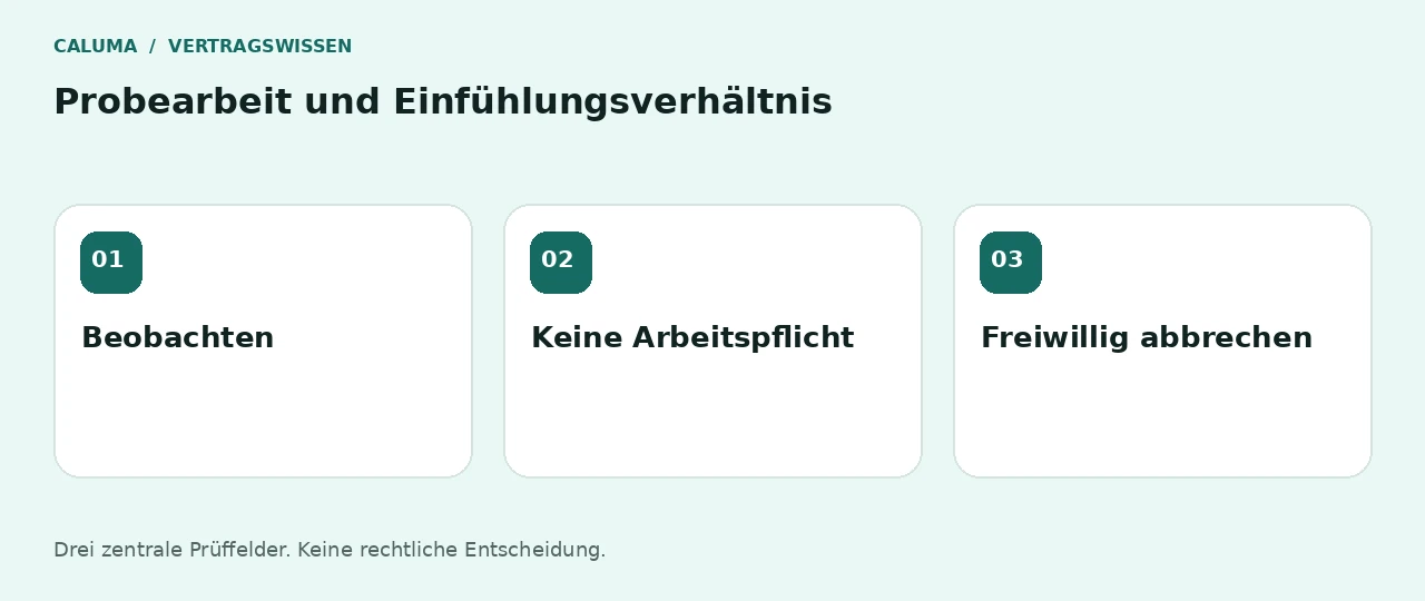Probearbeit und Einfühlungsverhältnis: Beobachten, Keine Arbeitspflicht, Freiwillig abbrechen